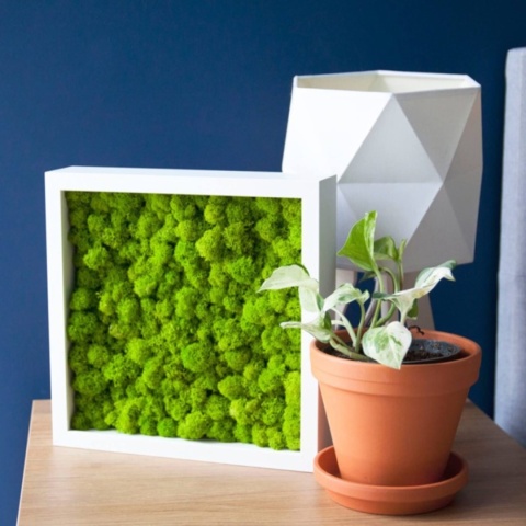 Ramka głęboka box 3d 30x30 cm do rękodzięła mchu na zdjęcia kolor biały