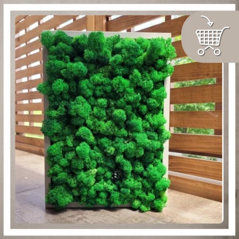 Ramka głęboka box 3d 30x40 cm do rękodzięła mchu na zdjęcia kolor biały