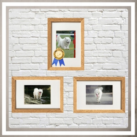 Ramka głęboka box 3d 35x45 cm do rękodzięła mchu na zdjęcia kolor naturalny