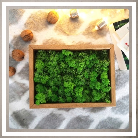 Ramka głęboka box 3d 35x45 cm do rękodzięła mchu na zdjęcia kolor naturalny