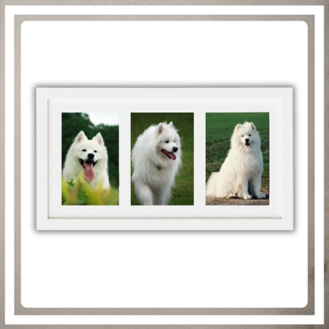 Ramka potrójna na 3 zdjęcia obrazy rysunki multiramka 20,5 x 37,5 cm Biała