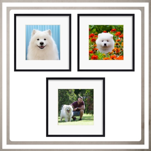 Ramka 30x30 cm na zdjęcia plakaty puzzle kwadratowa z passe partout plexsi