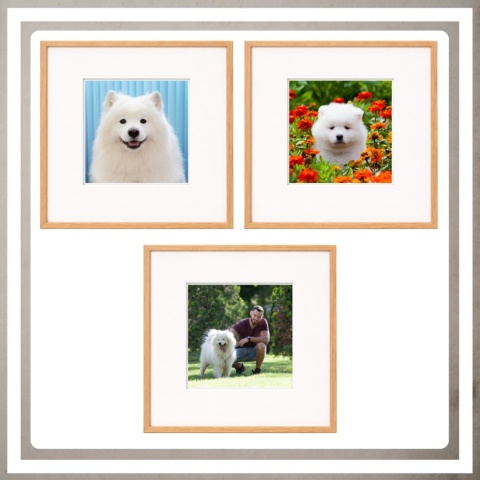 Ramka 30x30 cm na zdjęcia plakaty puzzle kwadratowa z passe partout plexsi